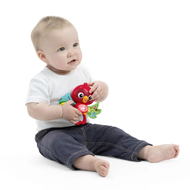Kids2 Baby Einstein – Jouet musical Roxy's Bright Flight – vue 10 – Jouets musicaux