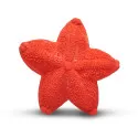 Lanco Teething Toy - Asteroidea – vue 1 – Grab & Rattle