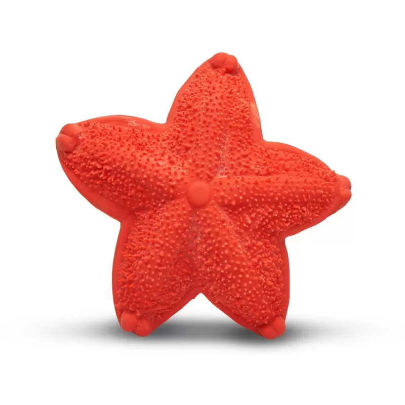 Lanco Teething Toy - Asteroidea – vue 1 – Grab & Rattle