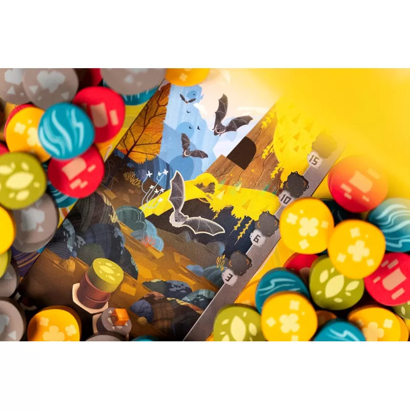 Libellud Harmonies – vue 5 – Board Games