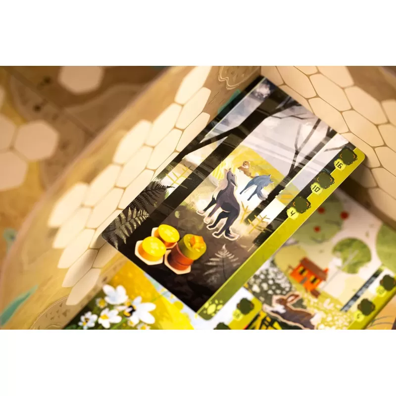 Libellud Harmonies – vue 8 – Board Games