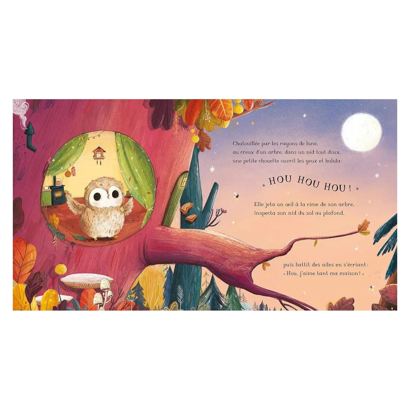 Editions Kimane Petite chouette ne quitte pas son nid – vue 2 – Albums et Contes