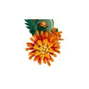 Lego [Botanicals] Chrysanthemum – vue 4 – Lego and Duplo
