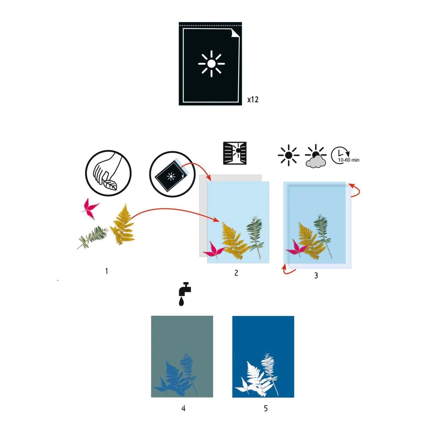 Djeco Cyanotype paper – vue 2 – Creative Kits