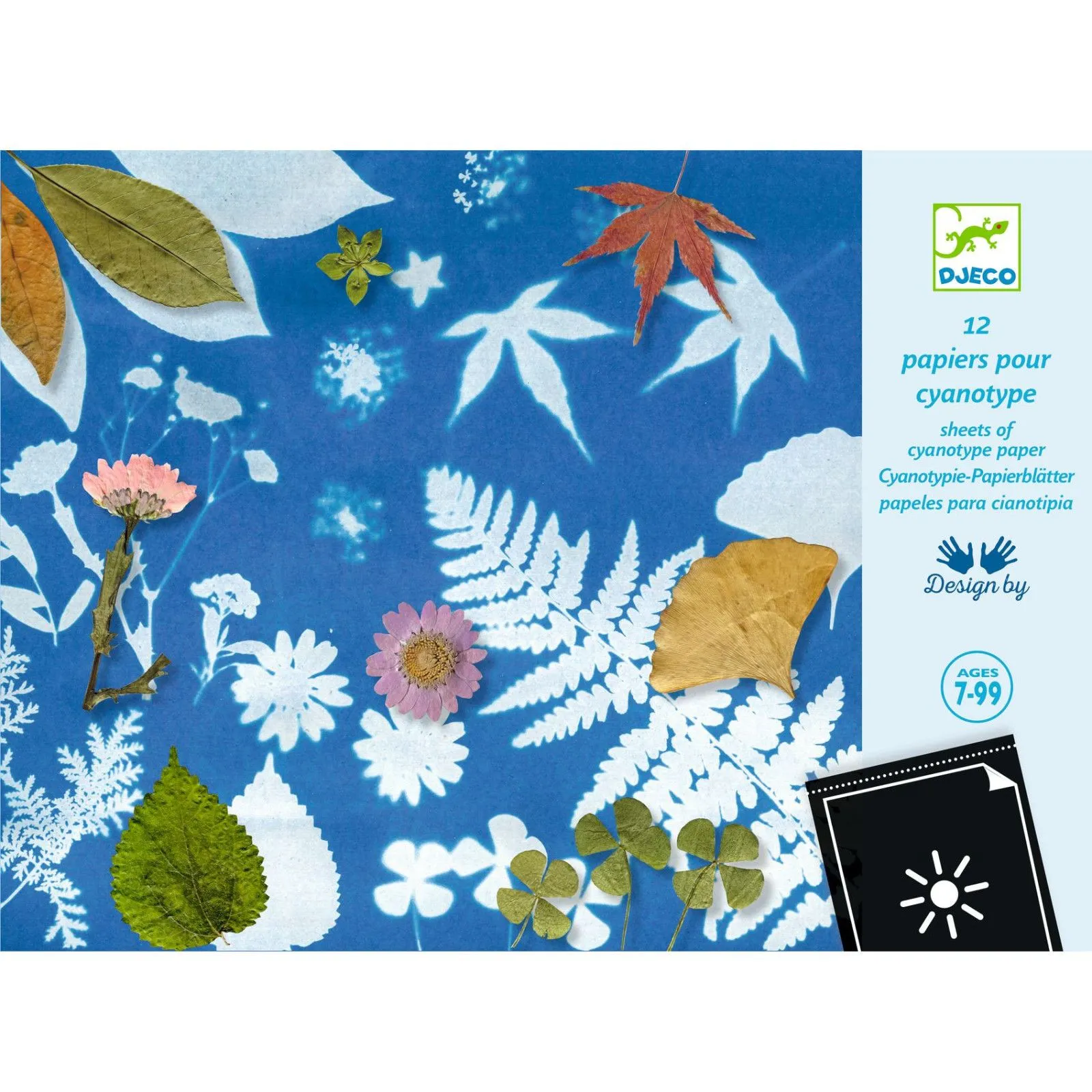 Djeco Cyanotype paper – vue 3 – Creative Kits