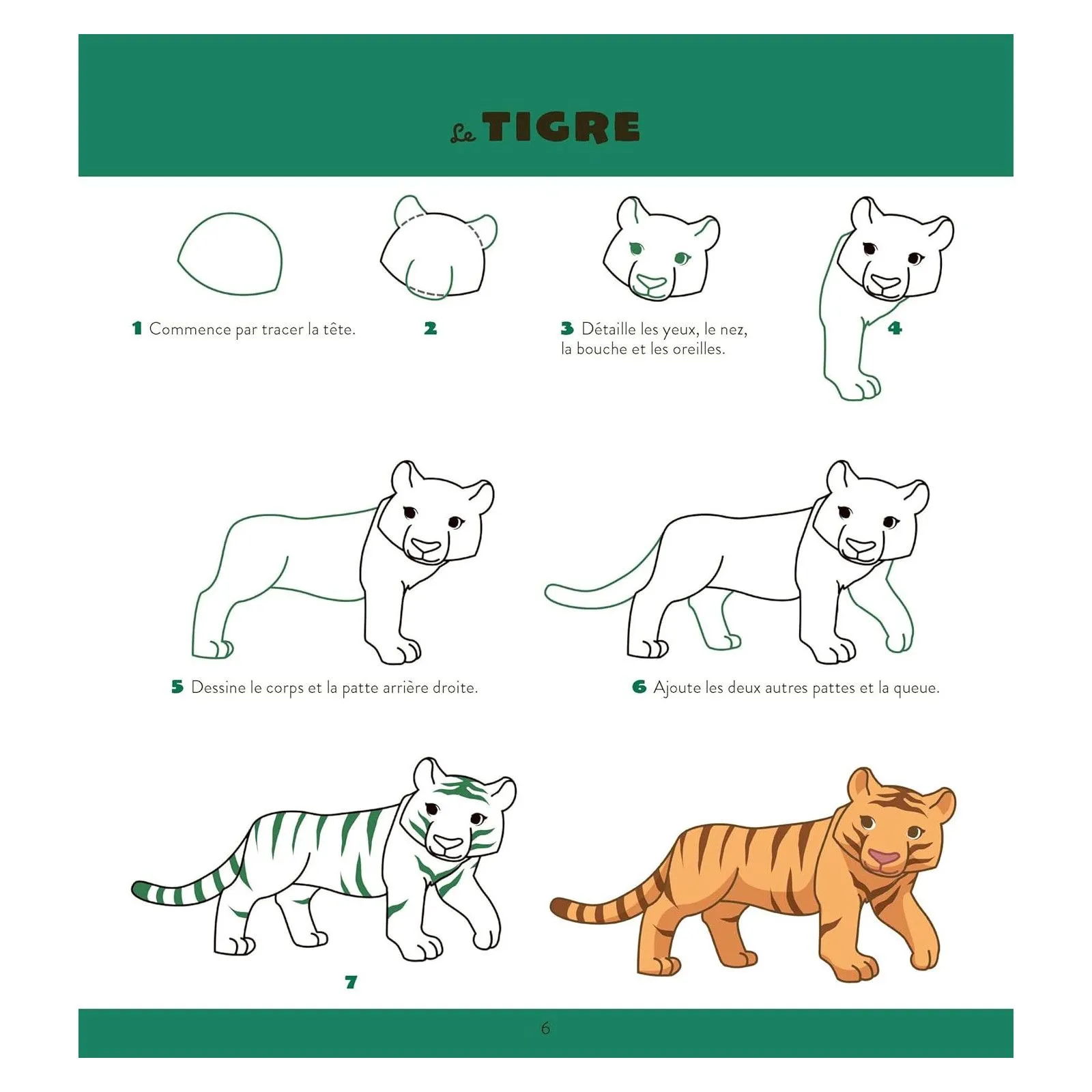 Editions Fleurus Mes dessins Super Faciles -  Les animaux de la jungle – vue 6 – Documentaries