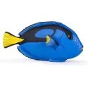 Papo Poisson chirurgien – vue 1 – Papo