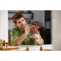 Lego [Botanicals] Les fleurs de prunier – vue 6 – Lego et Duplo