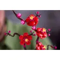 Lego [Botanicals] Plum Blossom – vue 8 – Lego and Duplo