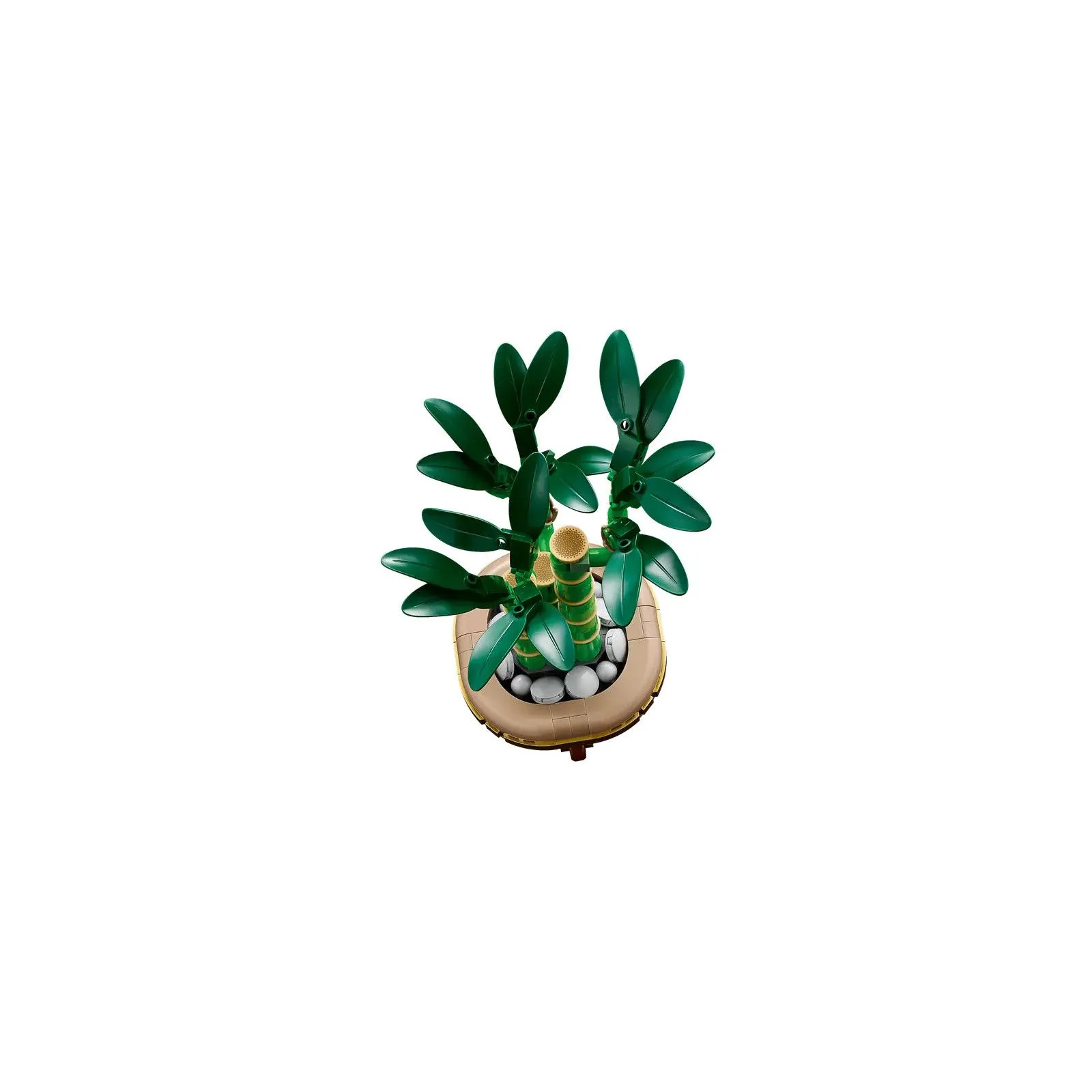 Lego [The Botanical Collection] Lucky Bamboo – vue 3 – Lego and Duplo
