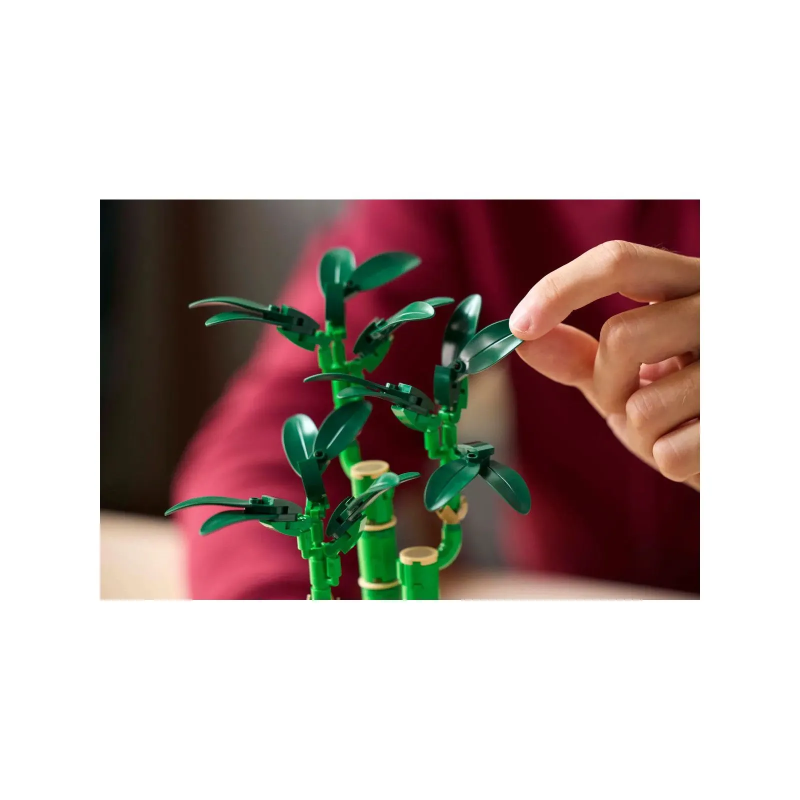 Lego [The Botanical Collection] Lucky Bamboo – vue 6 – Lego and Duplo