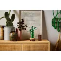 Lego [The Botanical Collection] Le bambou de la chance – vue 7 – Lego et Duplo