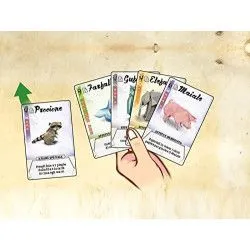 dV Giochi Origami – vue 2 – Jeux de societe