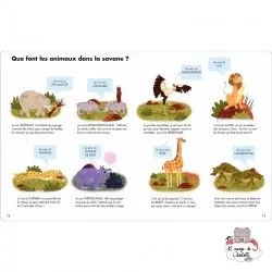 Que font les animaux quand ils sont réveillés ? - 123-0052 - Editions 123 Soleil - Documentaires - Le Nuage de Charlotte