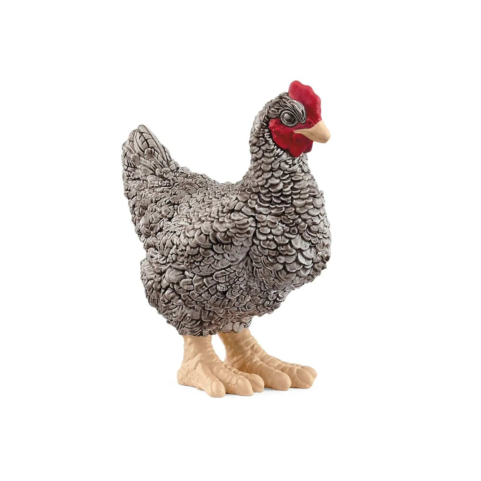 Schleich Plymouth Rock Chicken – vue 1 – Schleich
