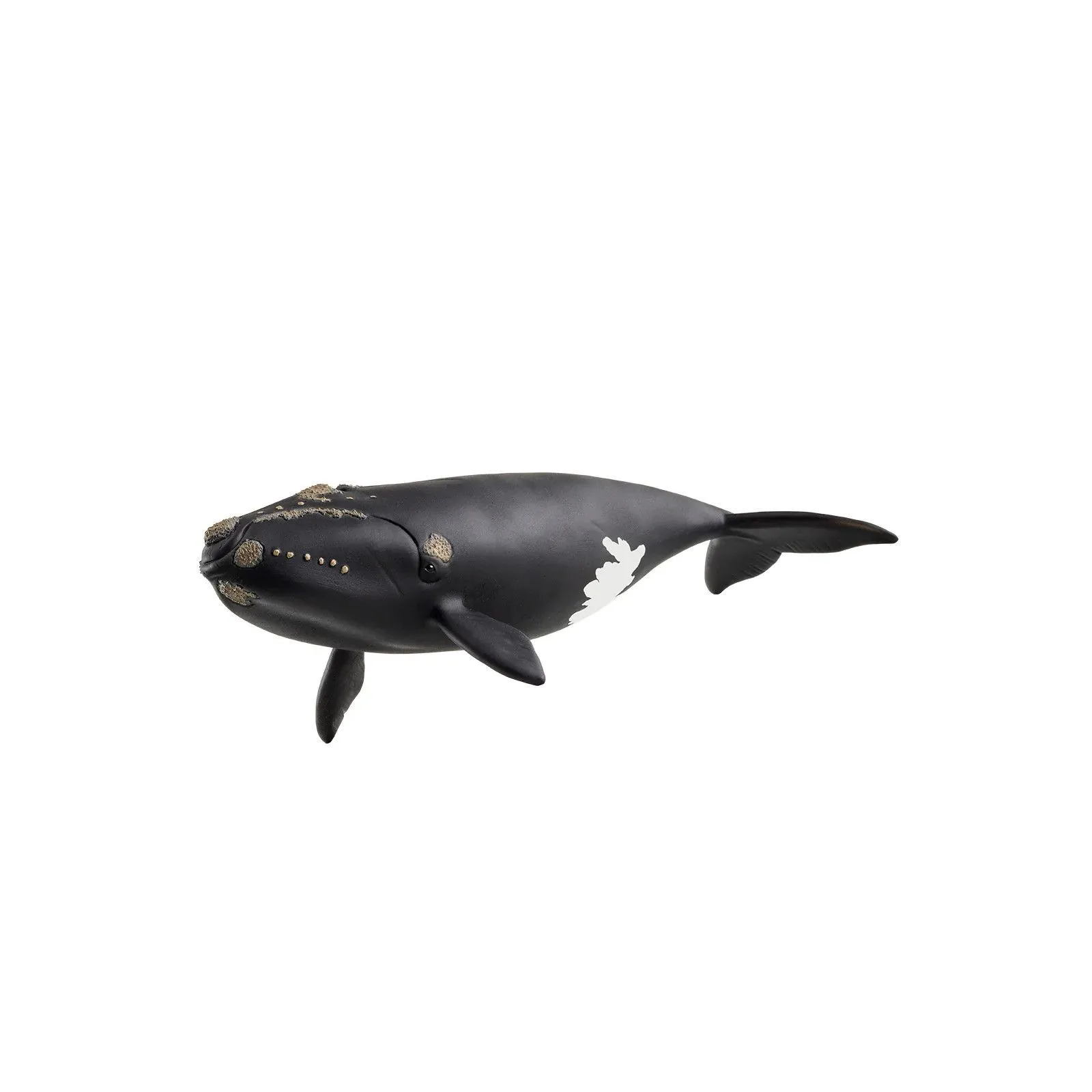 Schleich Baleine de l'Atlantique – vue 1 – Schleich