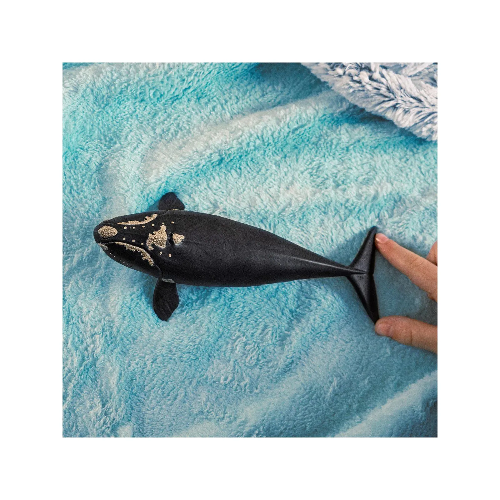 Schleich North Atlantic Right Whale – vue 2 – Schleich