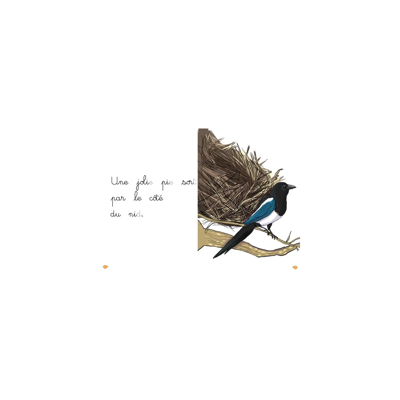 Hachette J'apprends à lire Montessori - La pie bavarde (niveau 1) – vue 3 – Novels and Become the Hero