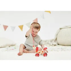Hape Chien Puppy à promener – vue 3 – Tirer et pousser
