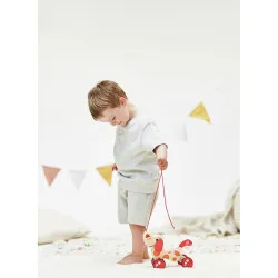 Hape Chien Puppy à promener – vue 4 – Tirer et pousser