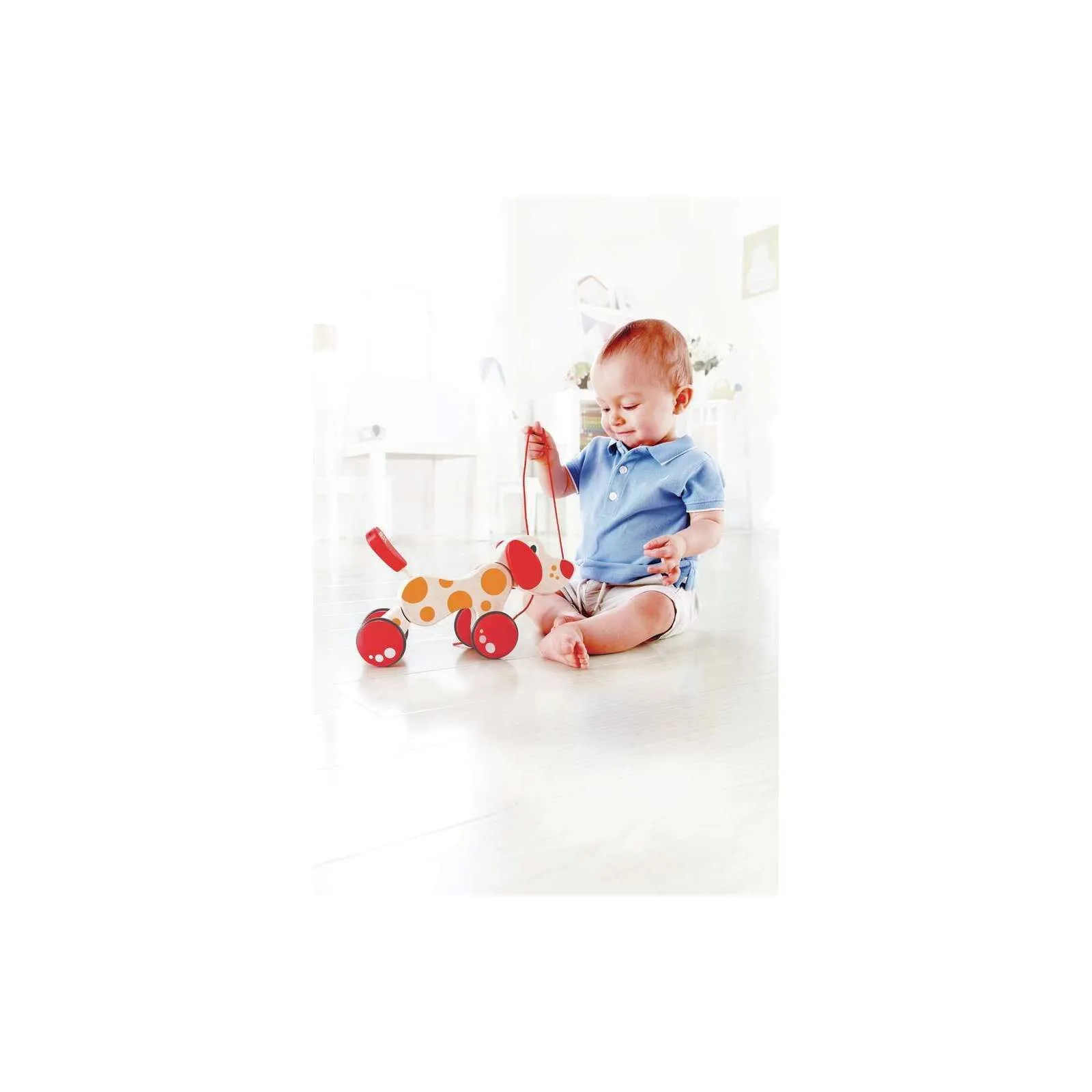 Hape Chien Puppy à promener – vue 9 – Tirer et pousser