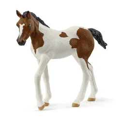 Schleich Poulain Paint Horse – vue 1 – Schleich