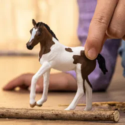 Schleich Poulain Paint Horse – vue 2 – Schleich