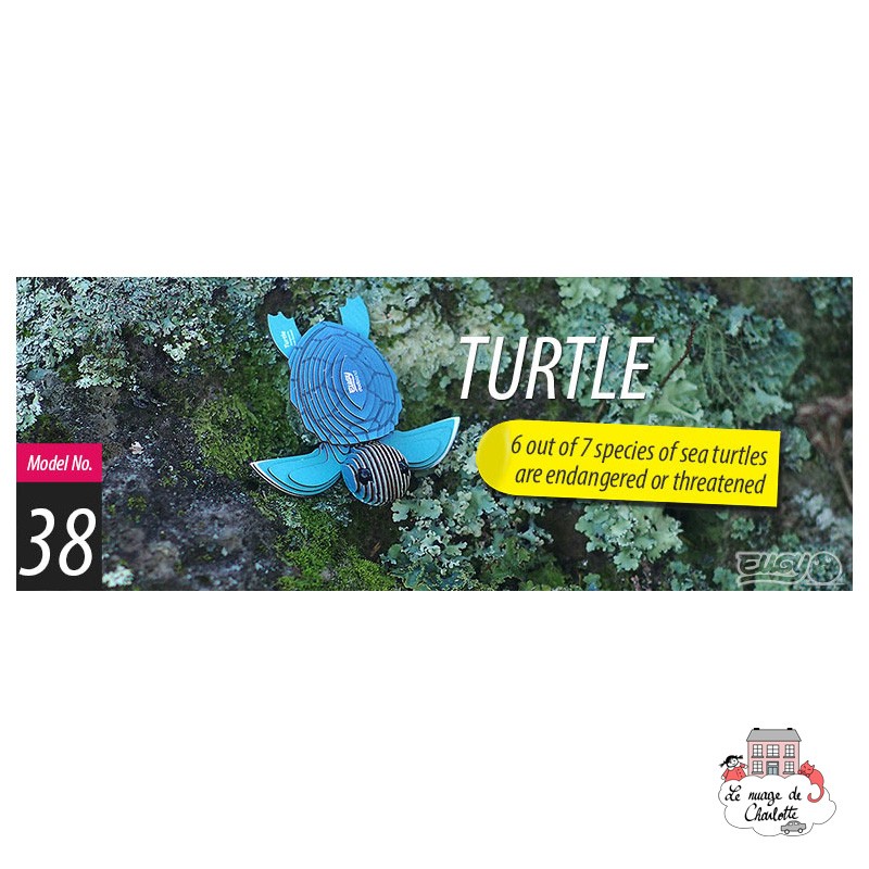 Eugy 038 - Tortue - EUG-5313937 - dodoland - Maquettes en carton - Le Nuage de Charlotte
