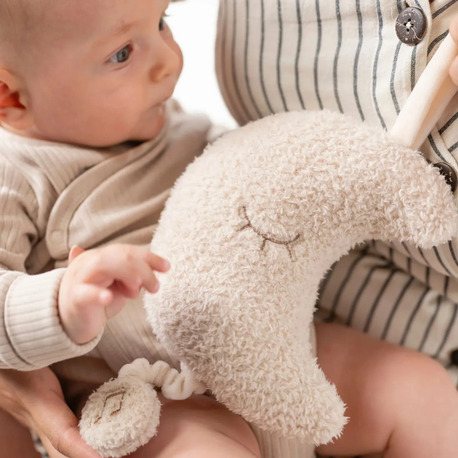 Nattou Musical Cuddly Moon TEDDY - TEDDY - 25 cm - Teddy Beige – vue 2 – Musical toys