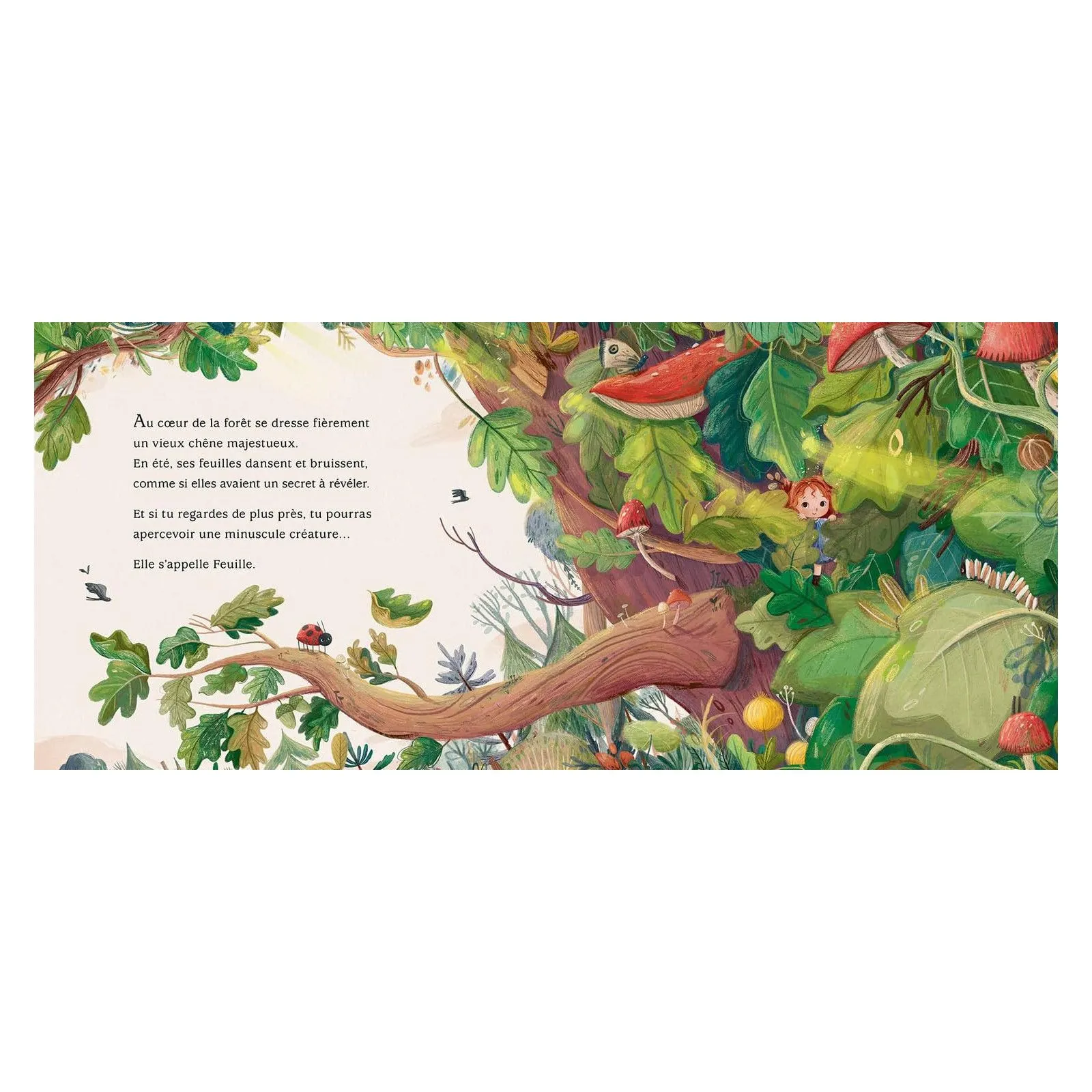 Editions Kimane Feuille, la petite fée des forêts – vue 2 – Books