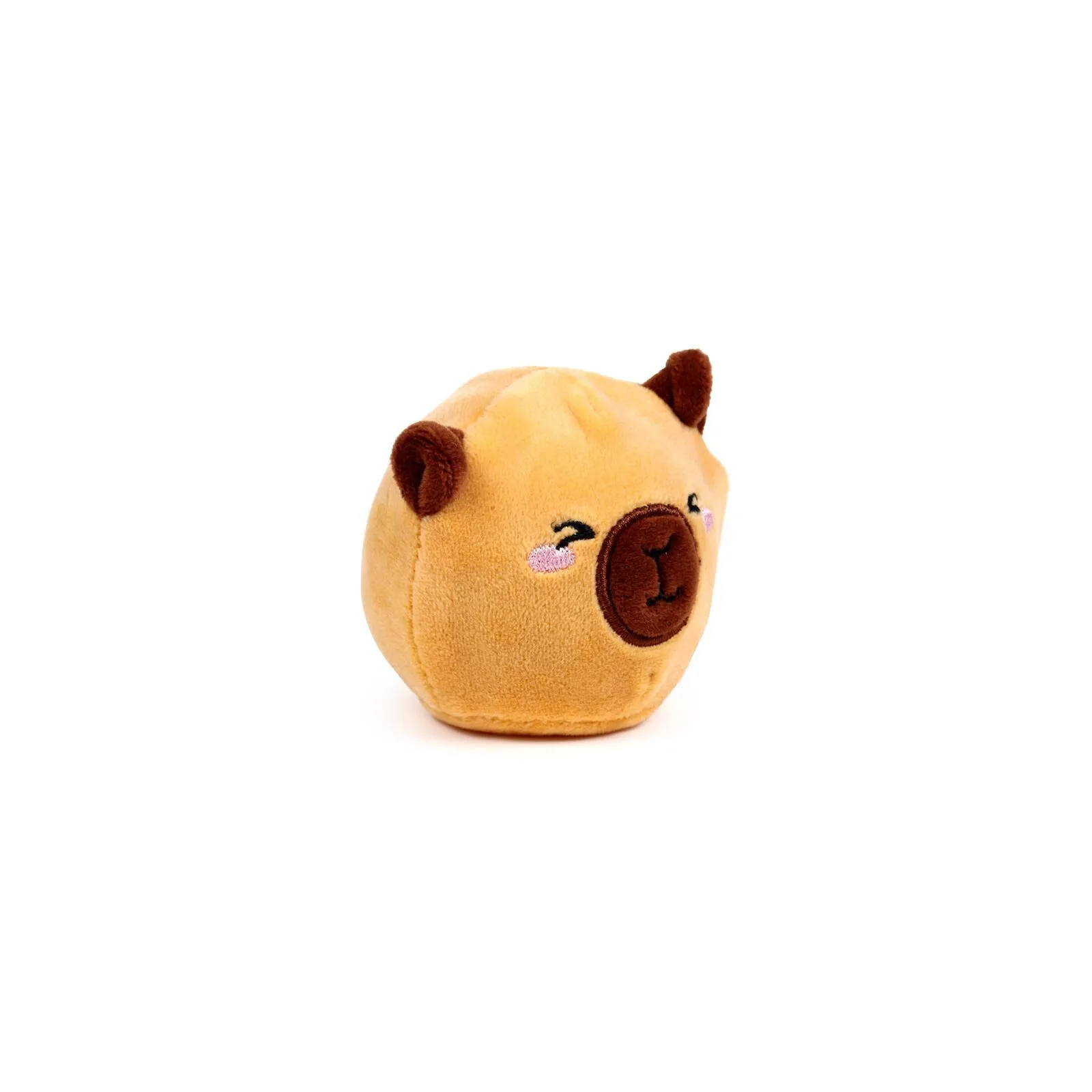 Puckator Queasy Squeezies - Adoramals Capybara [brown] – vue 1 – My little collection