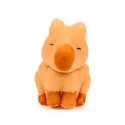 Puckator Capybara Hatching Egg – vue 5 – My little collection