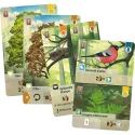 Lookout Games Forêt Mixte – vue 2 – Board Games